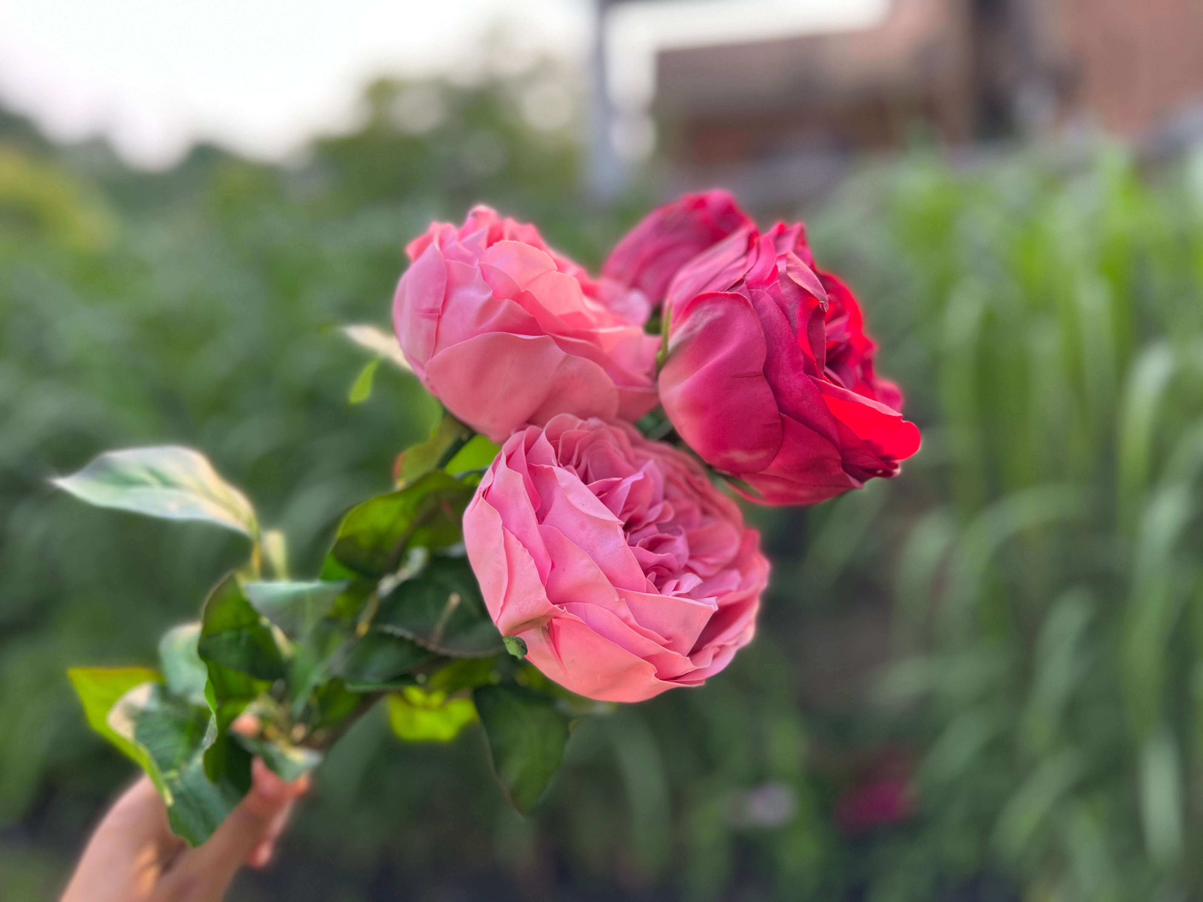 2 REAL TOUCH ARTIFICIAL AUSTIN ROSES